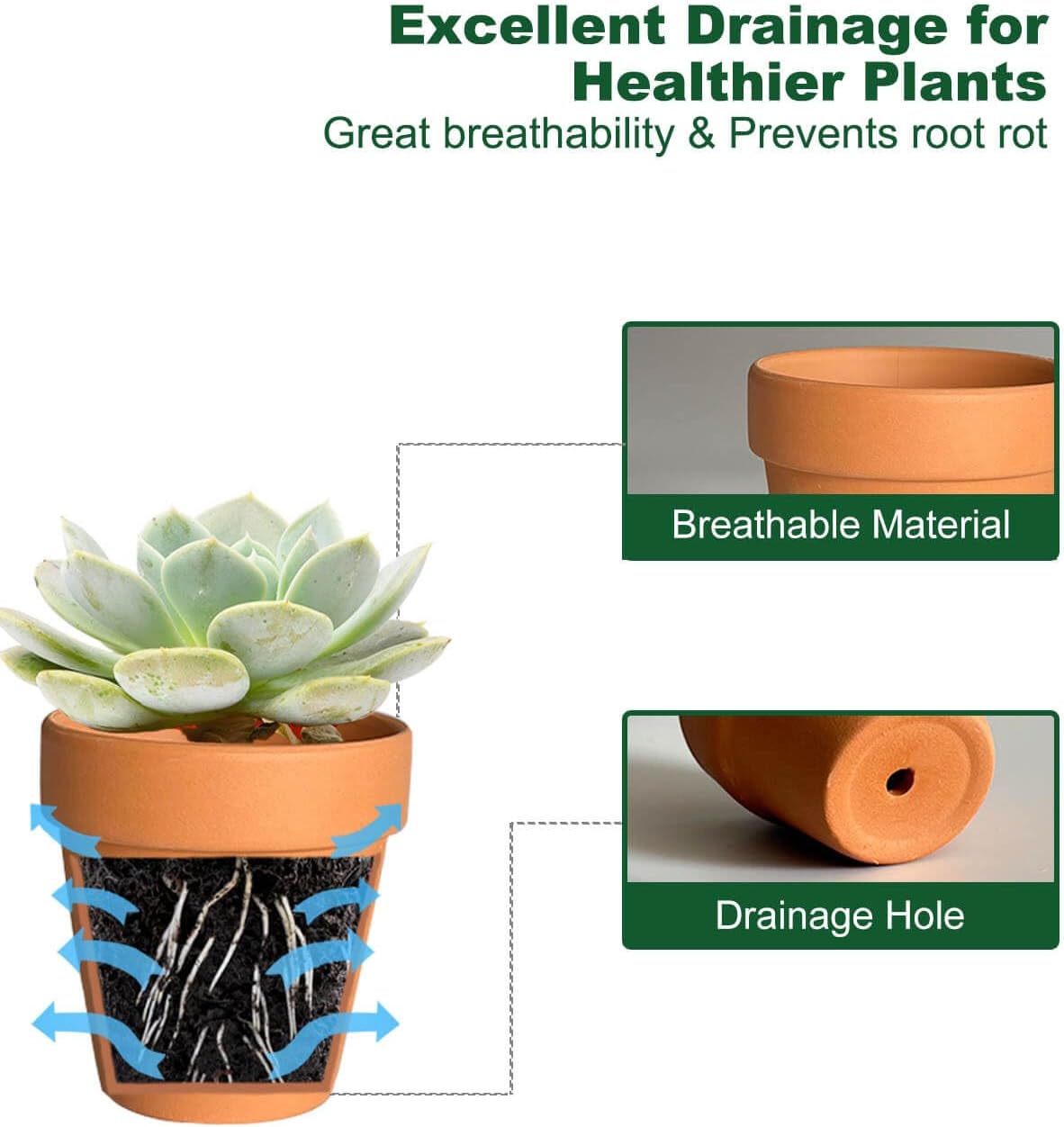 2 Inch Terracotta & Clay Plant Pots with Drainage Hole - 48 Pack Mini Terra Cotta Pots for Indoor Outdoor Plants, Breathable Unglazed Classic Planter Pots for Succulents, Herbs, Flowers
