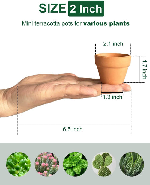 2 Inch Terracotta & Clay Plant Pots with Drainage Hole - 48 Pack Mini Terra Cotta Pots for Indoor Outdoor Plants, Breathable Unglazed Classic Planter Pots for Succulents, Herbs, Flowers