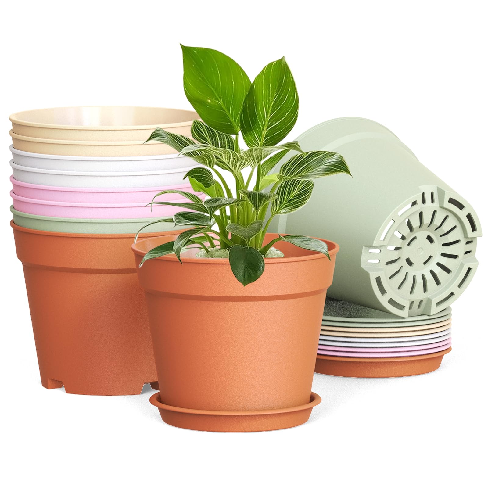10 Pack 6 Inch Plant Pots with Drainage and Saucers, Plastic Flower Pots for Indoor and Outdoor Plants, Stackable Nursery Planters for Houseplants and Herbs, Terracotta